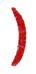 close_parenthesis_icon